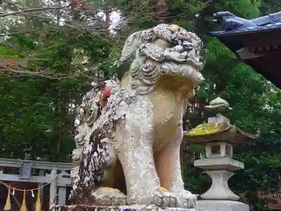 春日神社の狛犬