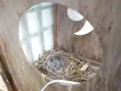 田瀬神社の動物