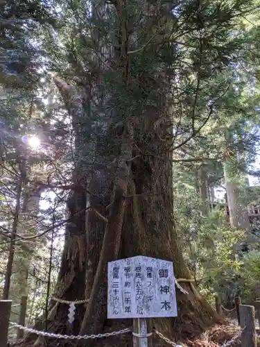 砥鹿神社（奥宮）(愛知県)