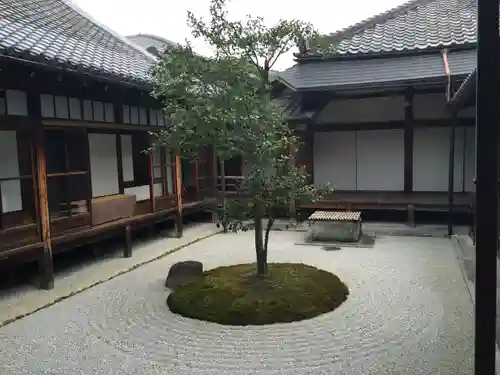 建仁寺（建仁禅寺）の庭園