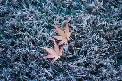 諏訪大社上社前宮(長野県)