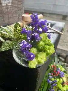 上尾御嶽神社の手水舎(2023年07月01日(土) 12時06分34秒投稿)