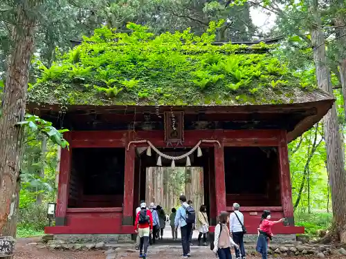 戸隠神社九頭龍社の山門