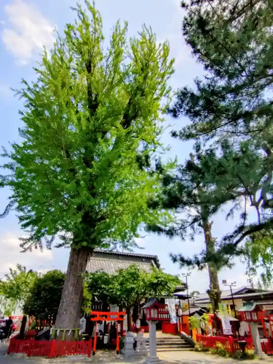 鴻神社(埼玉県)