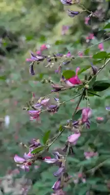 梨木神社(京都府)