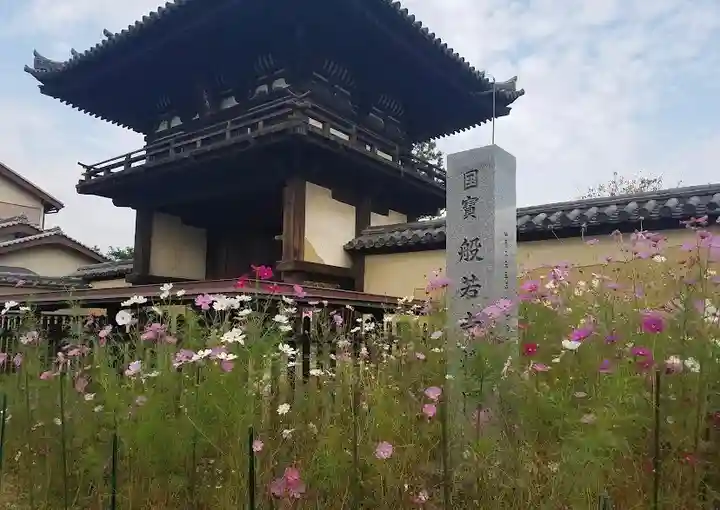 般若寺 ❁コスモス寺❁(奈良県)