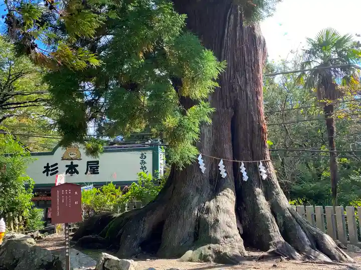 筑波山神社の自然