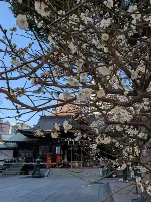 熊野神社(東京都)