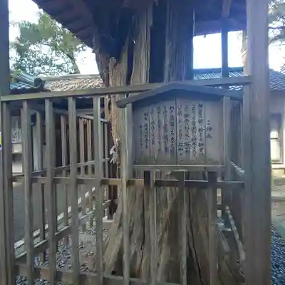 泉神社の歴史