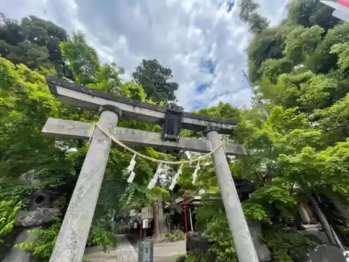 渋川八幡宮の鳥居