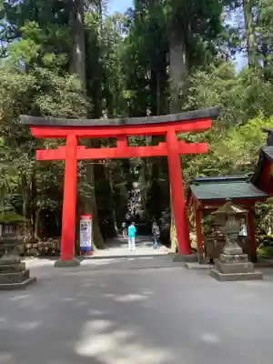 箱根神社の鳥居