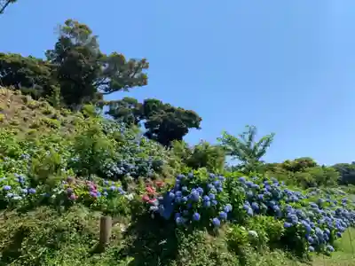 神洗神社の自然