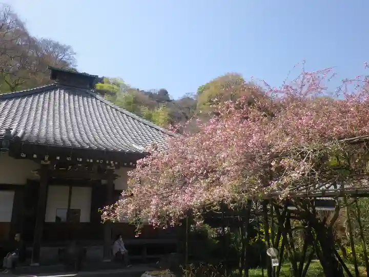 光則寺の本殿・本堂