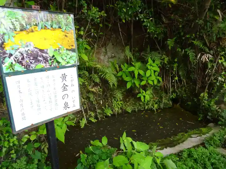 白笹稲荷神社の自然