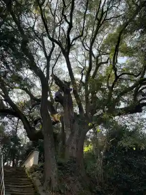 大興寺(香川県)