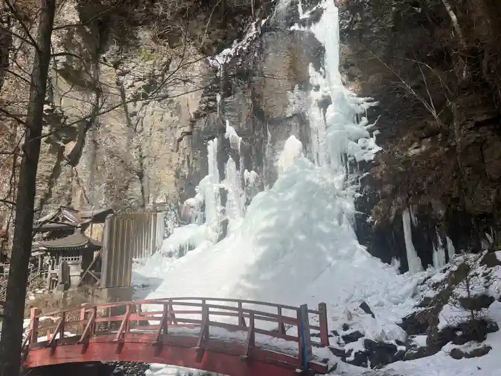 上尾御嶽神社の自然