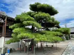 観音寺(三重県)