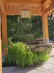 渭伊神社の手水