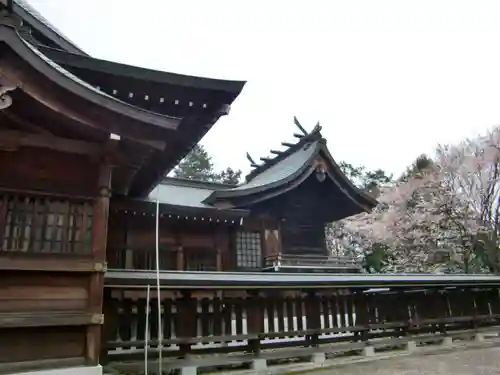 白鷺神社の本殿・本堂