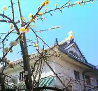 寿量山 速成寺の自然