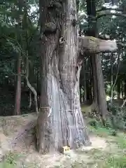 粟鹿神社(兵庫県)