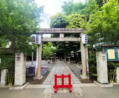 七社神社の{uncategorized: "未分類", other: "その他", undefined: "問題あり", building: "その他建物", grave: "お墓", sacred_gate: "鳥居", guardian: "狛犬", statue: "像", buddha: "仏像", history: "歴史", nature: "自然", garden: "庭園", animal: "動物", pagoda: "塔", temizu: "手水舎", mountain_gate: "山門・神門", sanctuary: "本殿・本堂", subordinate: "末社・摂社", art: "芸術", scenery: "景色", jizo: "地蔵", ema: "絵馬", goshuin: "御朱印", omikuji: "おみくじ", items: "授与品その他", amulet: "お守り", goshuincho: "御朱印帳", eats: "食事", festival: "お祭り", votive_dance: "神楽", shichigosan: "七五三参", wedding: "結婚式", experience: "体験その他", initially: "初詣", around: "周辺", anti_infection: "感染症対策"}