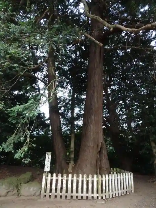 鎌数伊勢大神宮のその他建物