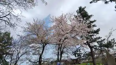 丹後一ノ宮 元伊勢 籠神社(京都府)