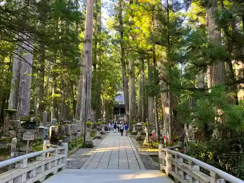高野山金剛峯寺奥の院(和歌山県)