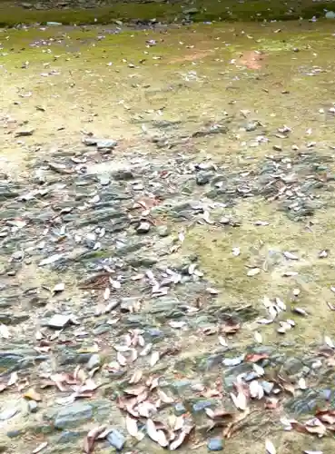 飯綱神社(愛宕神社奥社)(茨城県)