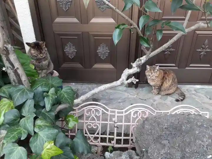 居木神社の動物
