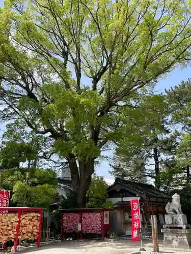 菅生神社(愛知県)