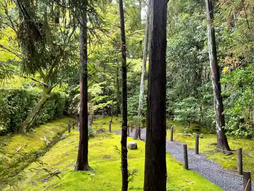 桂春院(京都府)
