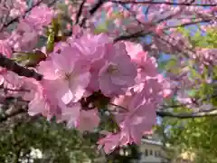 滑川神社 - 仕事と子どもの守り神の自然