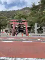 白鬚神社の鳥居