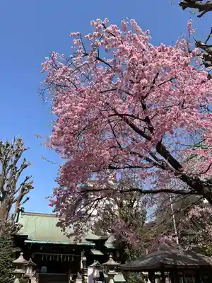 五條天神社(東京都)
