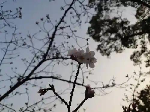 宗像大社(福岡県)