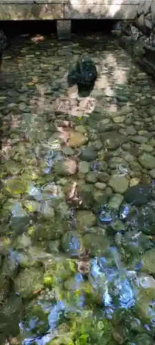 熱田神宮の庭園