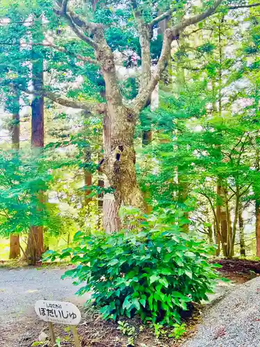 箟峯寺(宮城県)