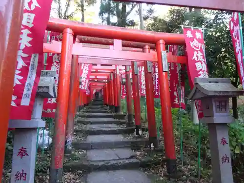 佐助稲荷神社の鳥居