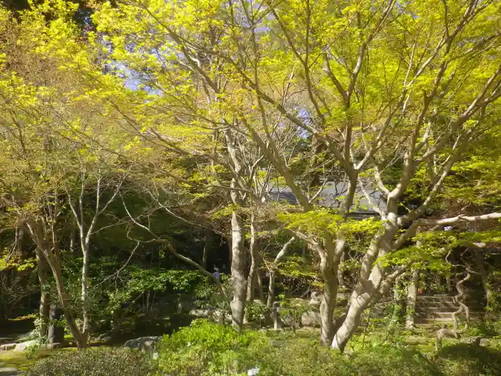 覚園寺の自然