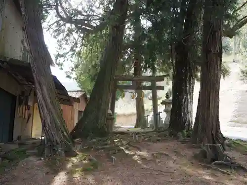 石上布都魂神社の鳥居