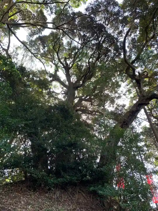 秋葉神社のその他建物