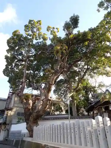 旧府神社の自然