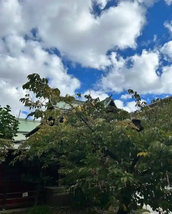 桜神宮(東京都)