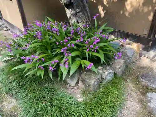 岩屋寺(京都府)