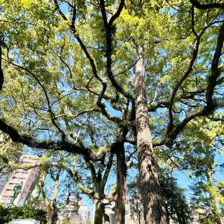 鳥飼八幡宮(福岡県)