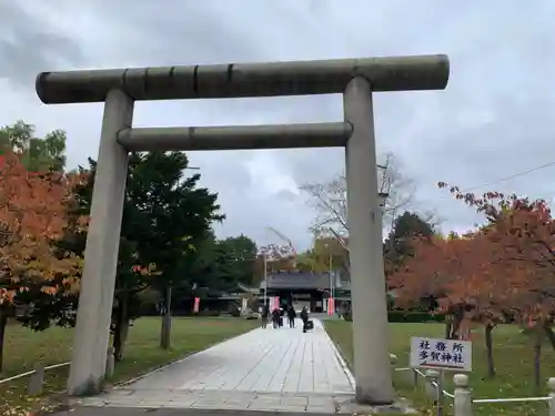 札幌護國神社の鳥居