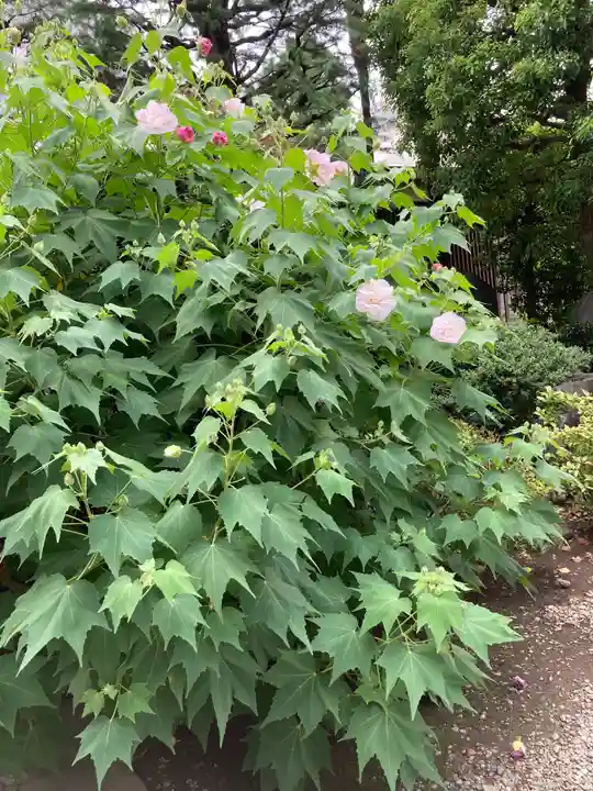 浄土宗南命山善光寺(東京都)