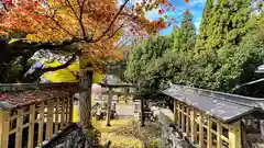 熊野神社(京都府)